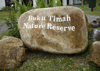 Bukit Timah Nature Reserve